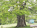20200514_180904