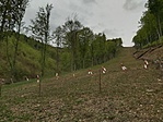 20200514_183918