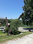 20200518_113040