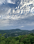 IMG_0527