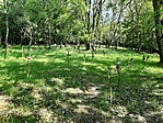 20200516_101946