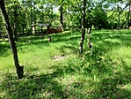 20200516_102052