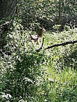 20200516_103047