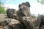 DSC_0017_tn