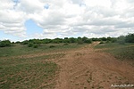 DSC_0006_tn
