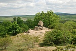 DSC_0030_tn