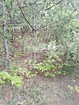 IMG_20200510_124759
