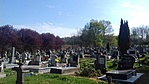 Feltámadásra várva