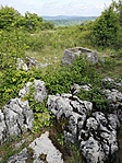IMG_20200517_153724