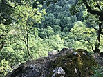 IMG_9585