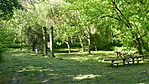 P1100441
