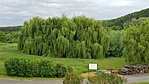 20200520_123137