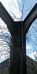 IMG_20200509_150417