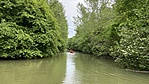 IMG_3751