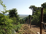 Kilátó a Miklós Pál-hegyen-2