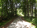 Pisztrángos-tó (Régebben: Koplaló)-1