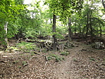 A Gerecse LegMagasabb Pontja-4