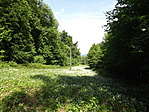 A Gerecse LegMagasabb Pontja-15