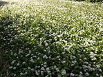 A Gerecse LegMagasabb Pontja 040