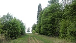 IMG_20200501_123854