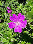 20200521_105215