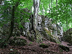 IMG_4500