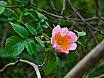 P1070295-1
