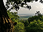 P1070307.-1
