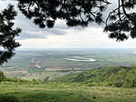 Panoráma