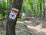 IMG_20200521_142103