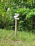 IMG_20200521_152415