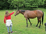 IMG_6032