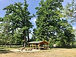 IMG_1178