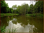 A tónál