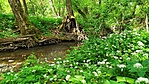 IMG_20200505_110649
