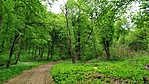 IMG_20200505_112442