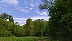 IMG_20200505_112846