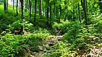 IMG_20200505_123507