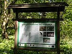 DSCN88137