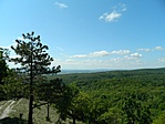 DSCN88118