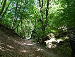 DSCN88154