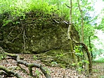DSCN88159