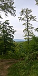 20200509_092845_HDR