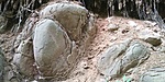 20200509_112130