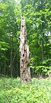 20200509_113119