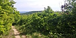 20200509_153643_HDR