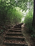 20200516_111846