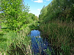 DSC02206