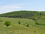 DSC02537