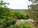 DSC02544